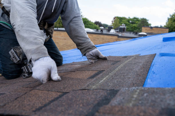 Best Flat Roof Repair Services  in Kermit, TX